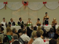 Radio Microphones for Wedding Speeches